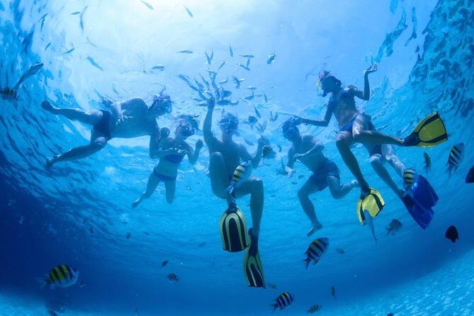 2.5 Hour Xpress Snorkel from Kaanapali Beach - The Practicalities and What You Need to Know