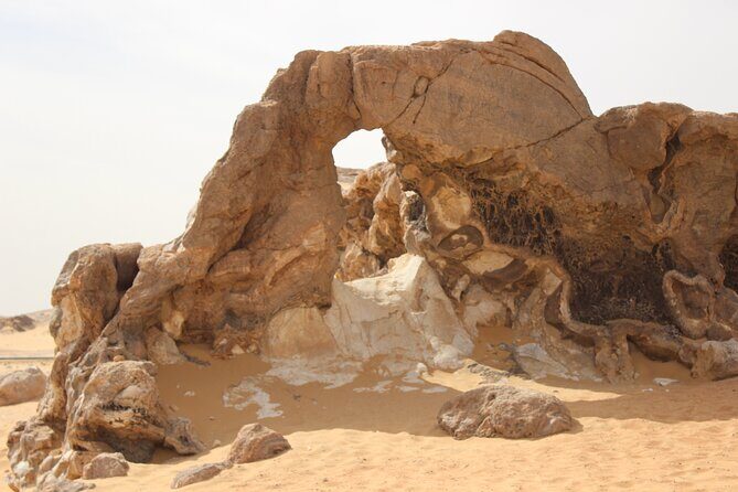 2-Day Black and White Deserts Tour w/ Desert Activities in Egypt - Final Thoughts