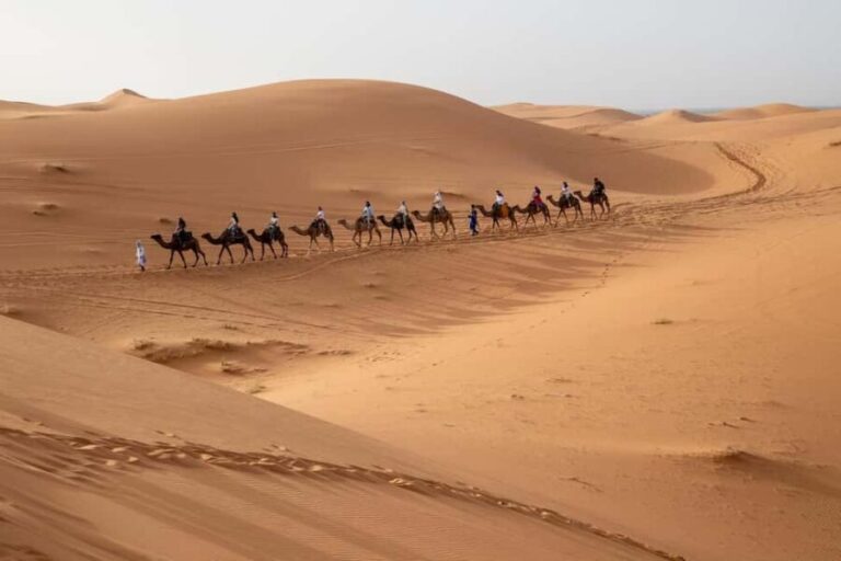 2-Day Desert Adventure: Fez to Merzouga with Authentic Camp - Who Will Love This Tour?
