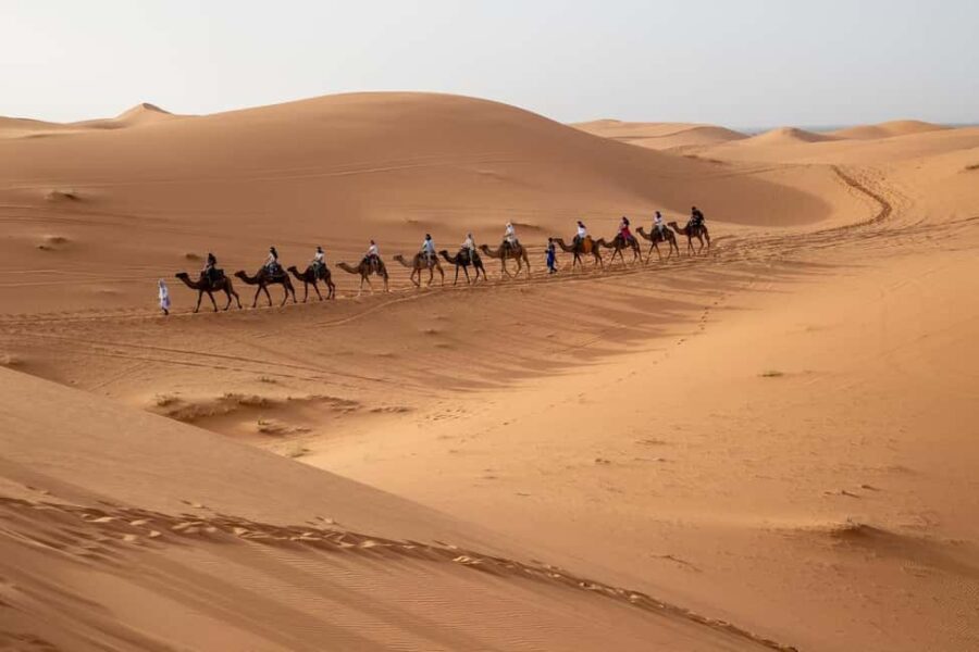 2-Day Desert Adventure: Fez to Merzouga with Authentic Camp - Who Will Love This Tour?