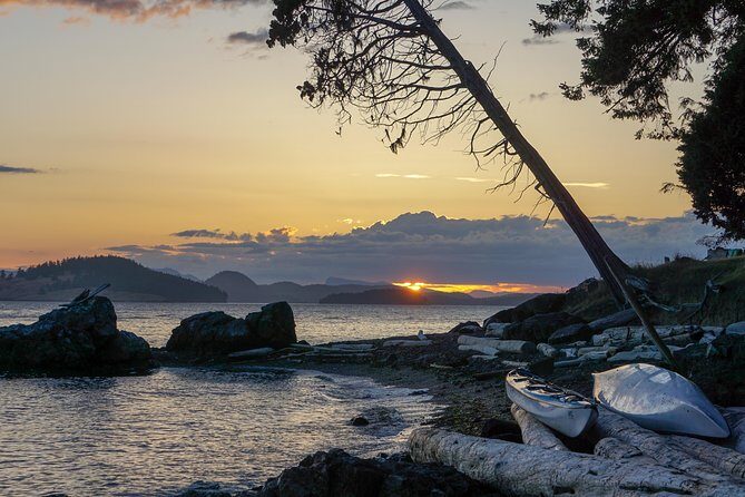 2-Day Fully-Catered Kayak Camping Trip in the San Juan Islands - Why This Experience Offers Great Value