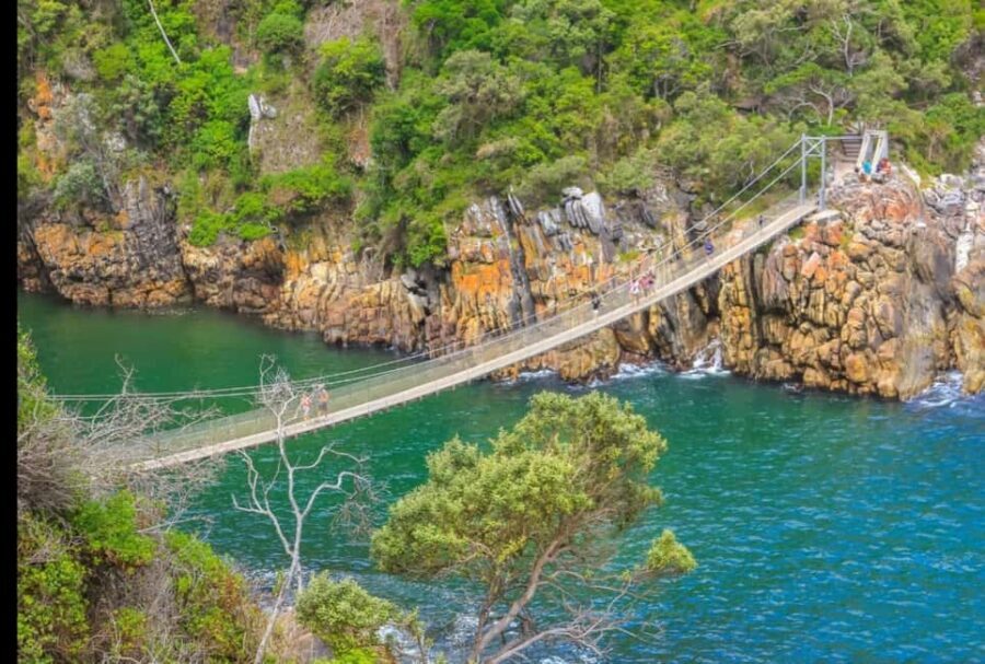 2-Day Garden Route From Port Elizabeth - Tsitsikamma & Plett - The Value of the Tour