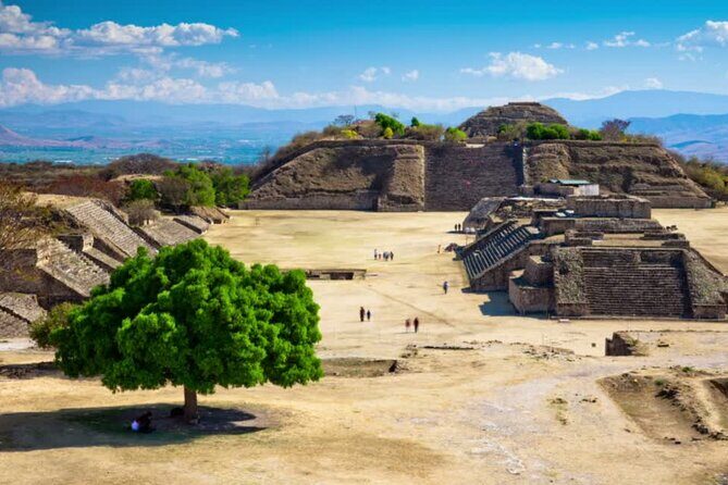 2-Day Guided Tour in Oaxaca with a Certified Guide - Overall Value and Practical Insights