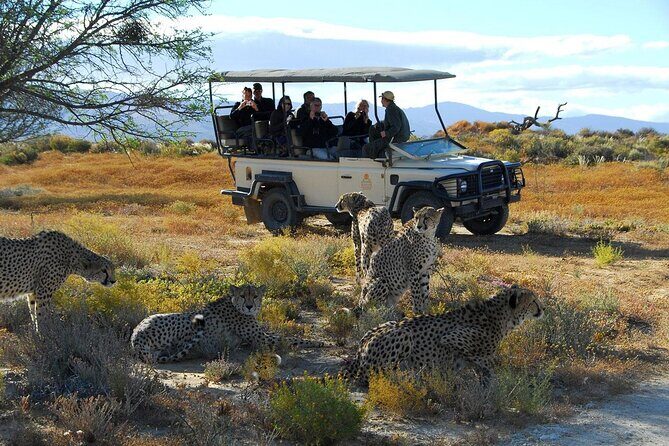 2 Day Inverdoorn Luxury Safari - A Detailed Look at the 2-Day Inverdoorn Safari