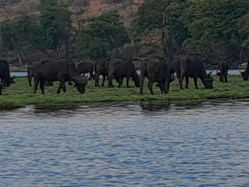 2 Day one night chobe safaris