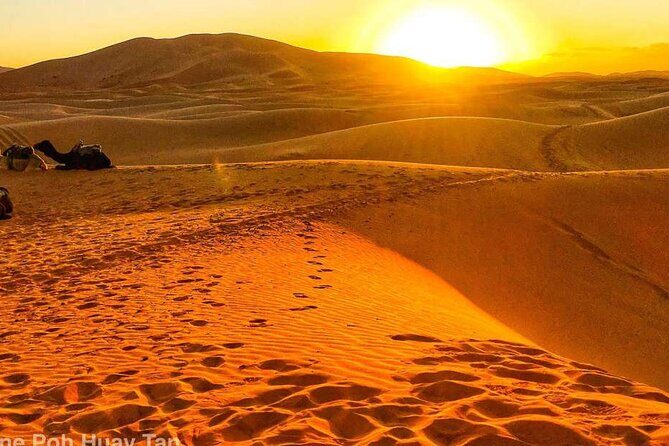 2 Day Private Overview of the Zagora Desert Tour - Who Would Enjoy This Tour?