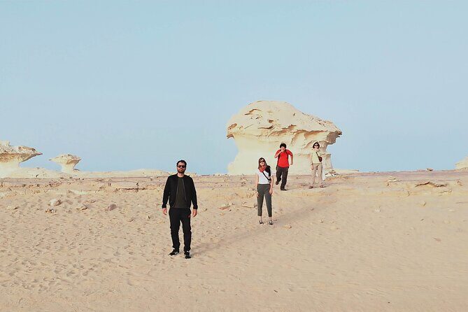 2-Day Shared Tour in White Desert from Cairo - The Detailing of the Itinerary