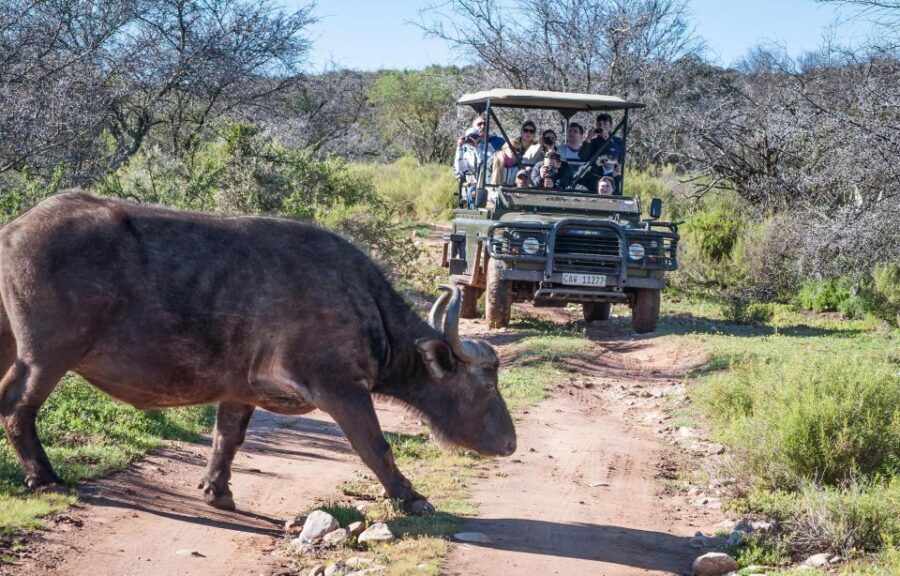 2 Day Small Group Cape Town: Garden Route Big 5 Safari Tour - Exploring the Itinerary in Detail
