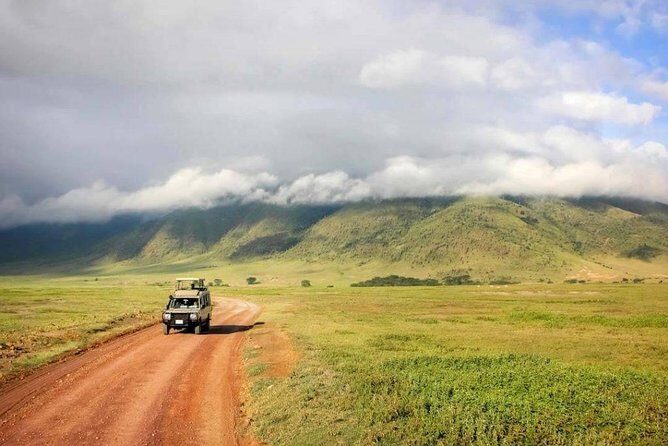 2 Day: Tarangire and Ngorongoro Crater - The Pros and Cons