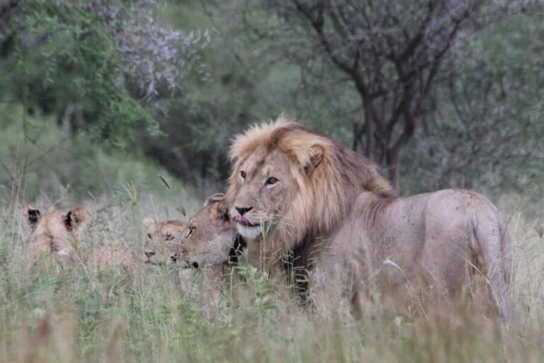 2-Day Tarangire National Park and Ngorongoro Crater Safari - Detailed Breakdown of the Itinerary