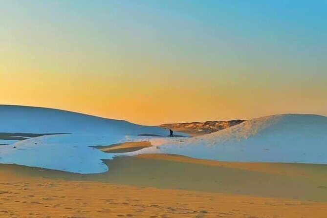 2 Day Tour in White Desert - Travel Logistics & Value