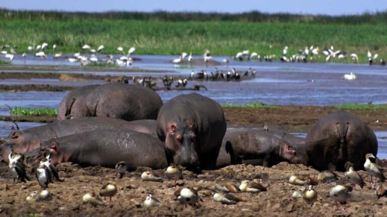2 Day Tour Lake Nakuru, Hell' s Gate & Lake Naivasha - The Itinerary in Detail