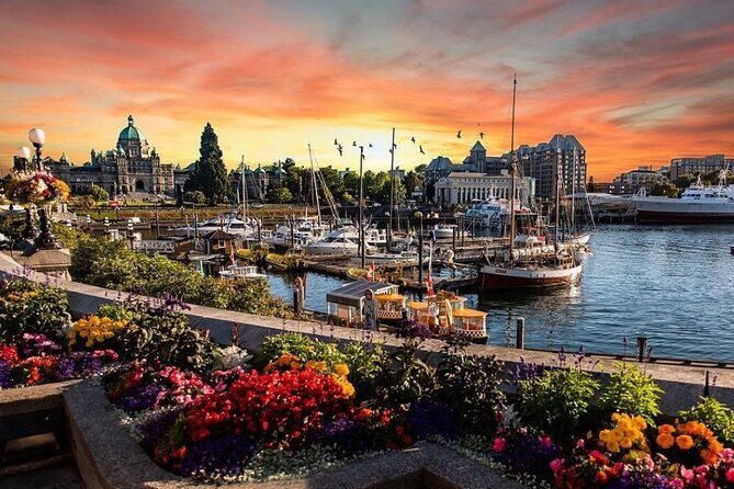 2-Day Victoria Vancouver Island Tour (Chn&Eng) - What Travelers Are Saying & Practical Insights