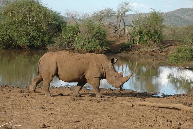 2 Days / 1 Night Join group safari - The Experience: Worth the Price?