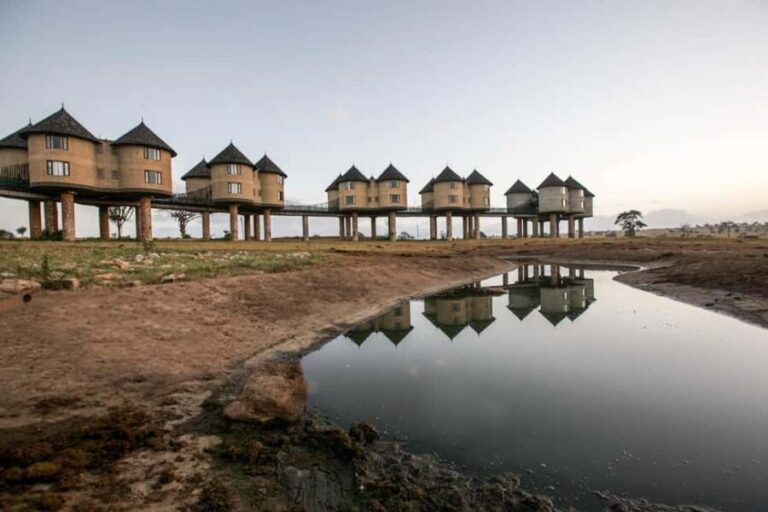 2 days 1 night saltlick safari from Diani/Mombasa - The Lodge Experience: Imaginative Design Meets Practical Comfort