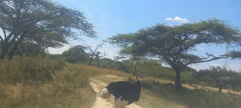 2 Days Abijata-Shalla Lakes National Park and Lake Langano, - How This Tour Balances Value and Authenticity