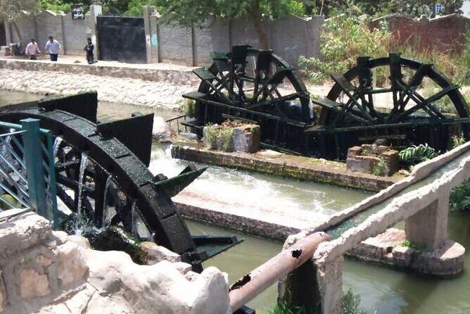 2 Days Camping Trip PRIVATE in Fayoum Oasis from Cairo - Authentic Experience and Genuine Value