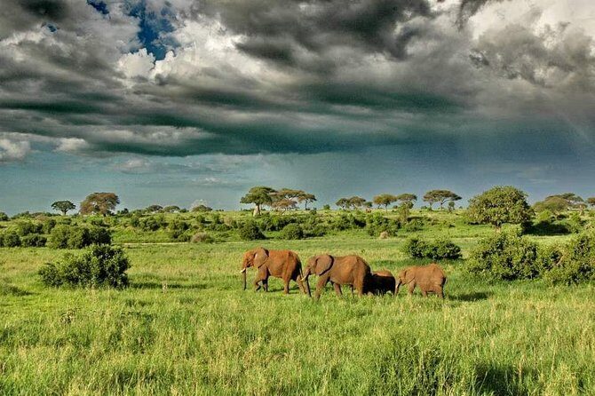 2 Days Joined Group Tarangire and Ngorongoro Crater National Park - What’s Included (and What’s Not)