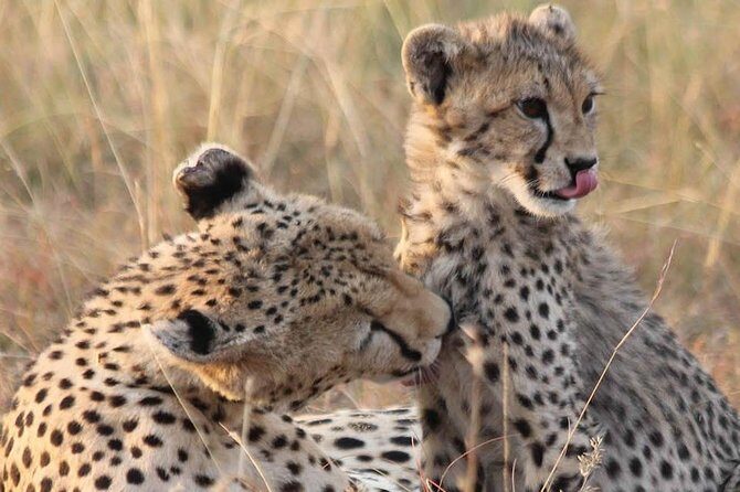 2 Days Lodge Safari - Lake Manyara and Ngorongoro Crater - Final thoughts