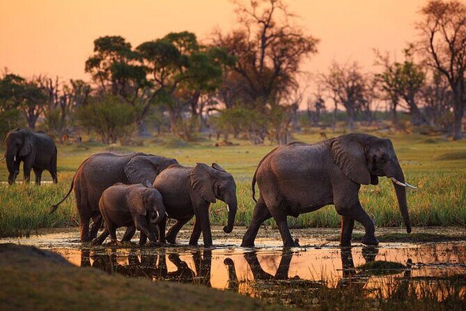 2 days Majestic Tanzania safari Tarangire and Ngorongoro Crater - A Close Look at the Itinerary