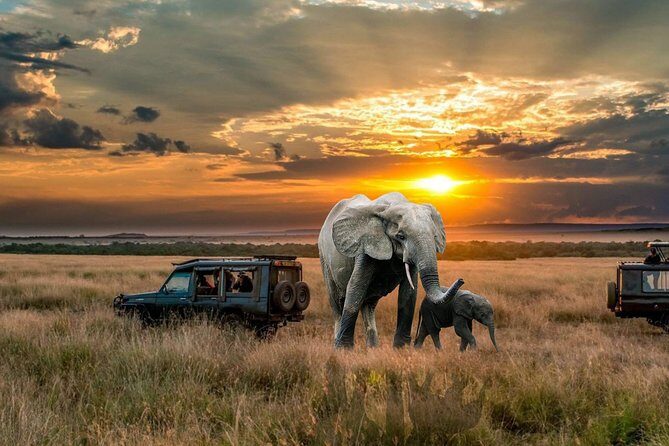 2 Days Northern Circuit Safari (lake Manyara & Ngorongoro) - Day 2: Ngorongoro Crater