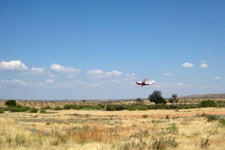 2 Days Private Budget Safari from Moshi - What Does the Experience Feel Like?