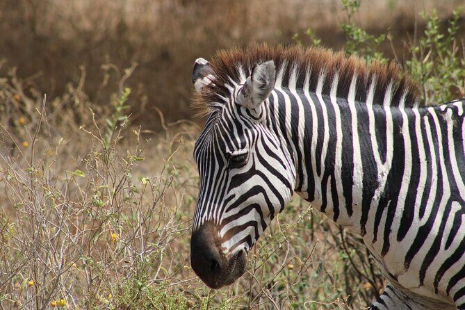 2 days private lodge safari - What the Reviews Tell Us