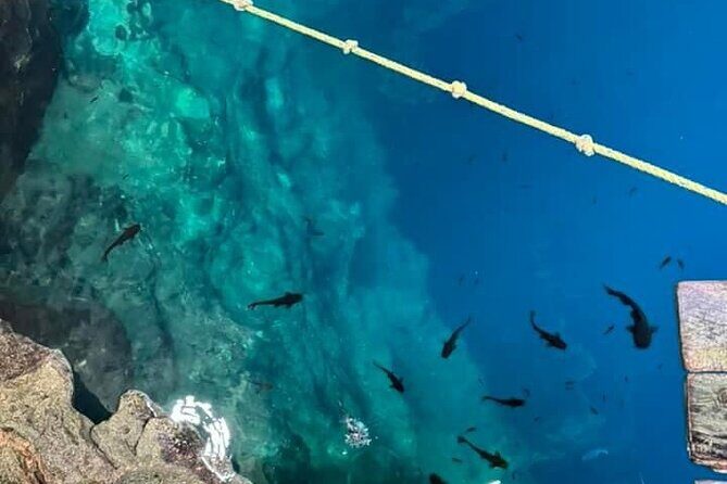 2 Days Private Tour in Aguas Rosas and Cenotes - Who Should Consider This Tour?