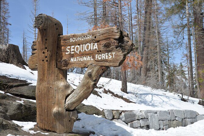 2 Days Private Tour to Sequoia and Kings Canyon Parks from LA - Who Is This Tour Best For?
