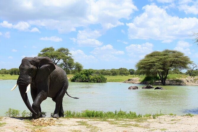 2 Days Safari through Tarangire NP and Lake Manyara NP - Practical Details: Transportation, Timing, and Booking