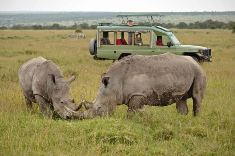 2 Days Sweetwaters Ol Pejeta Conservancy Safari from Nairobi - Analyzing the Value and Experience