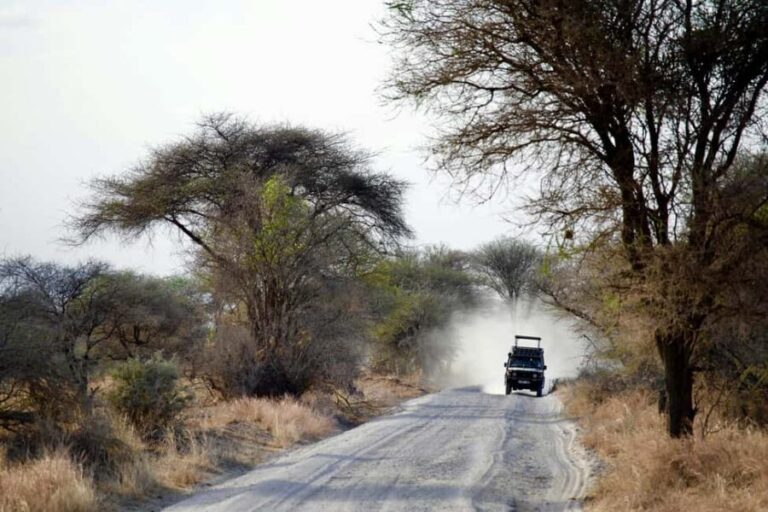 2 Days Tanzania Camping Safari - An In-Depth Look at the 2-Day Tanzania Camping Safari