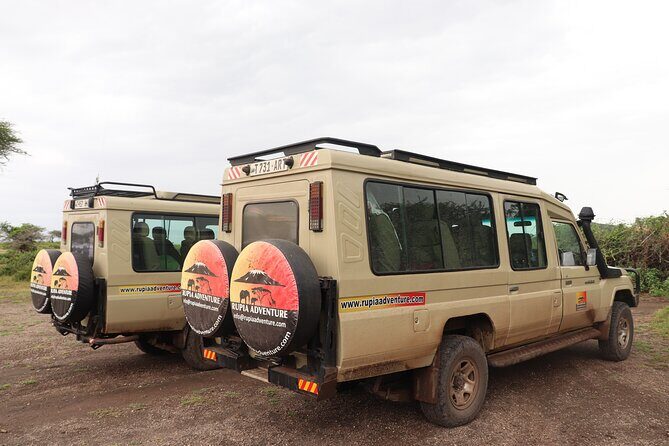 2 Days Tanzania Safari - Lake Manyara and Tarangire National Park - Day 2: Exploring Tarangire, Africa’s Elephant Capital