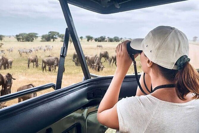 2 Days Tarangire and Ngorongoro Safari from Zanzibar - Detailed Itinerary Breakdown