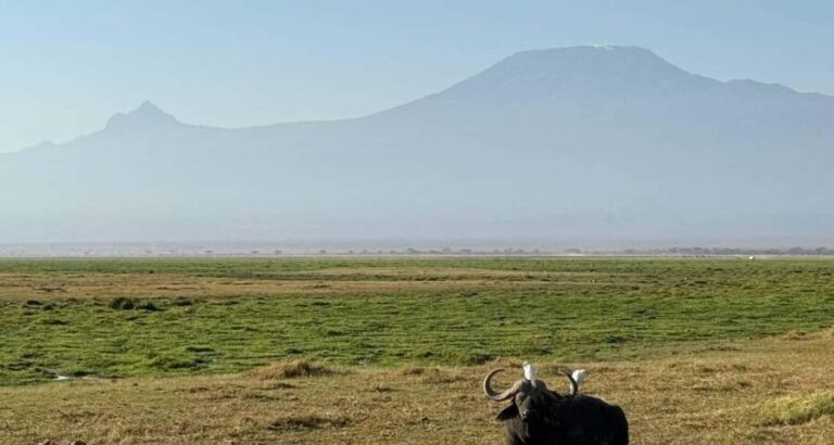 2 DAYS TO AMBOSELI NATIONAL PARK FROM NAIROBI - Why This Tour Is Worth Considering