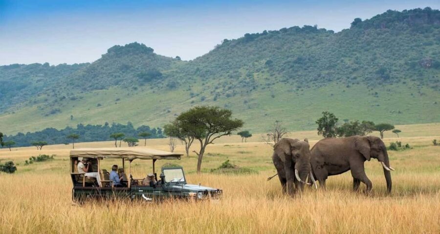 2 DAYS TO TAITA HILLS GAMES SANCTUARY - The Practical Value and Experience Quality