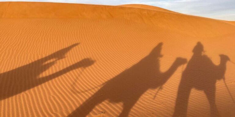 2 Days to Zagora Desert tour - ait ben haddou - Who Should Consider This Tour?