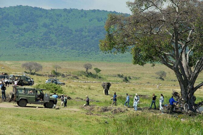 2 days Tour Tarangire & Ngorongoro - Detailed Review of the Tour