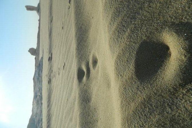 2-Days White Desert Adventure at Bahariya Oasis in Egypt - Who Would Love This Tour?