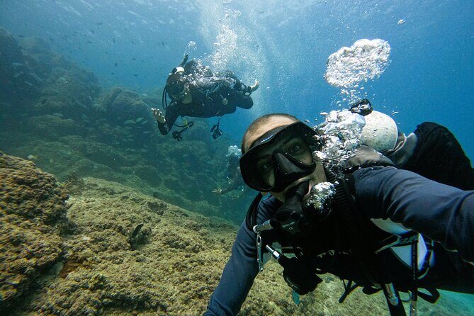 2 Dives for certified divers in Fujairah with BBQ lunch - Marine Life and Underwater Highlights