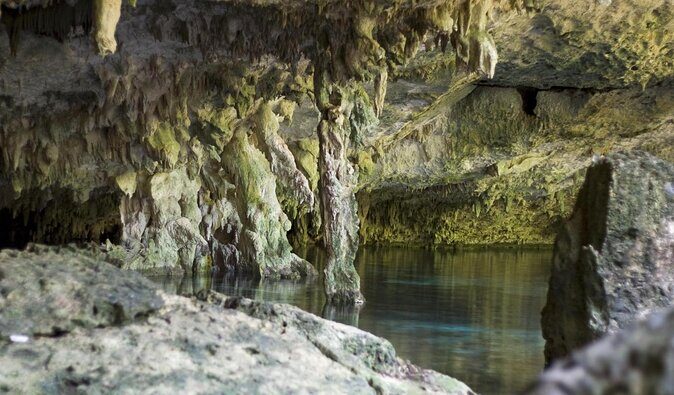 2 dives in Cenote Dos ojos Certified Divers - The Value of All-Inclusive Arrangements