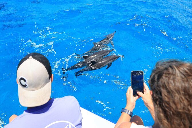 2 Hour Big Island Dolphin Watching and Sea Turtle Snorkel Tour - Authentic Experiences That Make a Difference