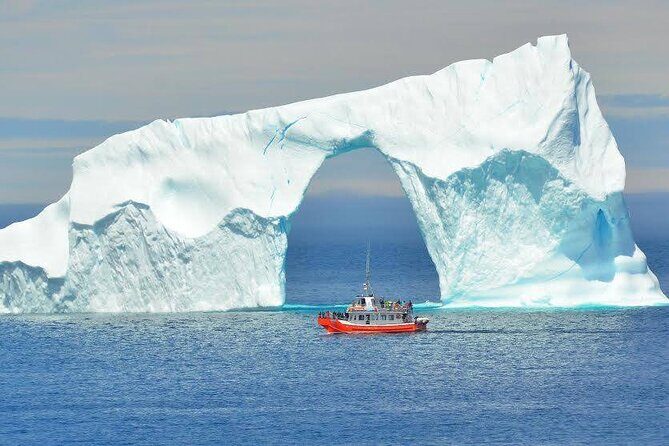 2 Hour Boat Tour in Twillingate - The Experience in Context