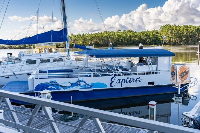 2-Hour Dolphin and Nature Eco Tour from Orange Beach - An In-Depth Look at the 2-Hour Dolphin and Nature Eco Tour