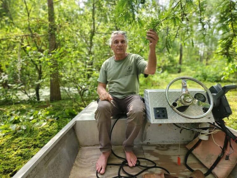 2-hour Eco-Swamp Tour - Who Will Love This Tour?