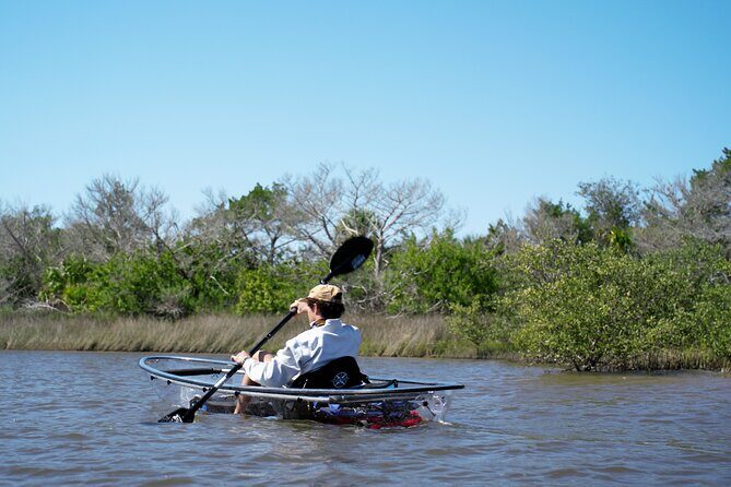 2-Hour Glass Bottom Guided Eco Tour in Flagler County-Small-group - The Quality and Benefits of the Equipment and Guides