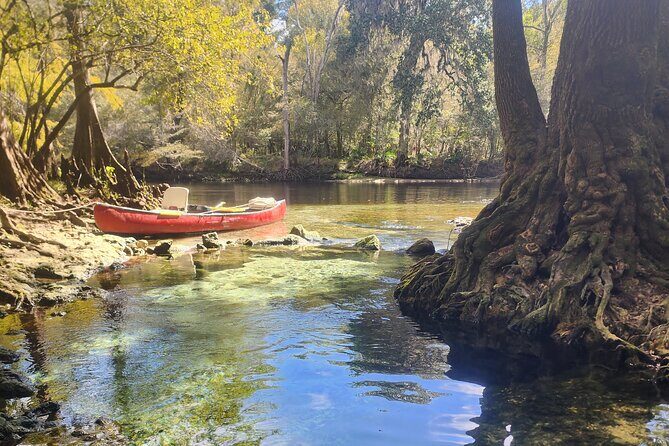 2 Hour Guided Clear Glass Bottom Kayak Tour Gilchrist Blue Spring - Who Will Love This Tour?