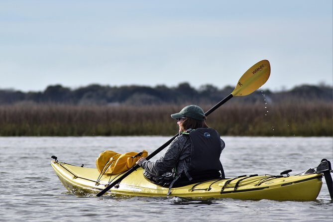 2-Hour Guided Kayak Eco Tour in Charleston - The Itinerary: From Marshes to Wildlife