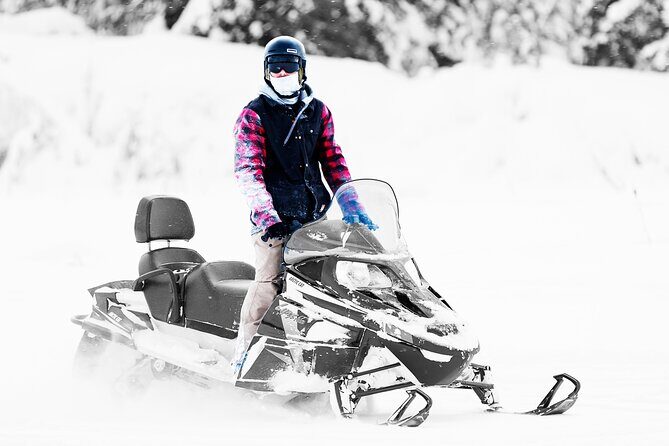 2-Hour Guided Snowmobile Tour in Fairbanks - Cost and Value Analysis