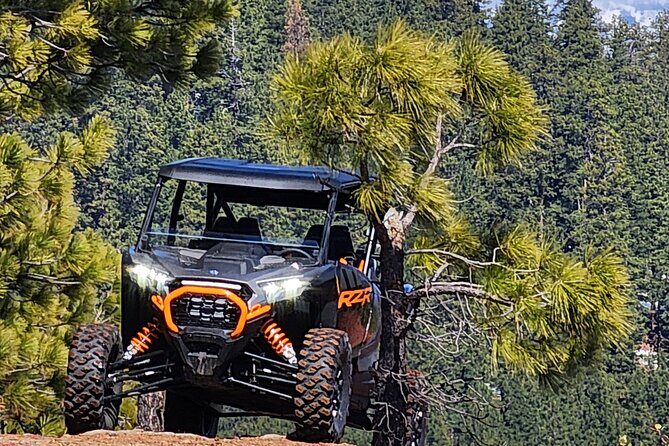 2 Hour High Cascades Scenic ATV Tour in Bend Oregon - The Experience from a Traveler’s Perspective